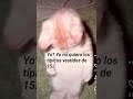 ✿⁠ Yo no quiero los típicos vestidos de 15 ✿⁠ 
