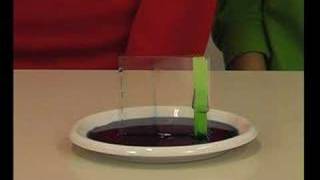 Facciamo Scienze - esperienza 3