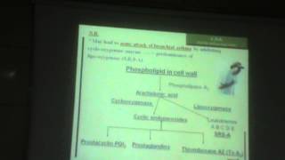 32)Dr.Mohsen 13-3-2016 [Salicylates]