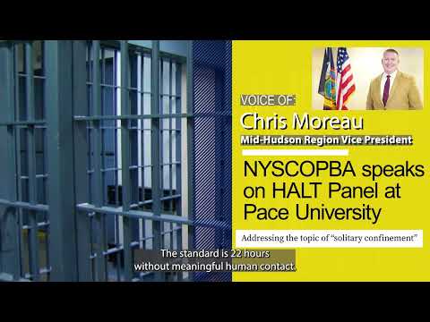 HALT Panel - Correctly Defining Solitary Confinement