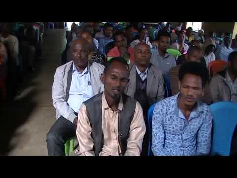 Faarfataa Baayyee jaallannu Farfataa Fiqaaduu