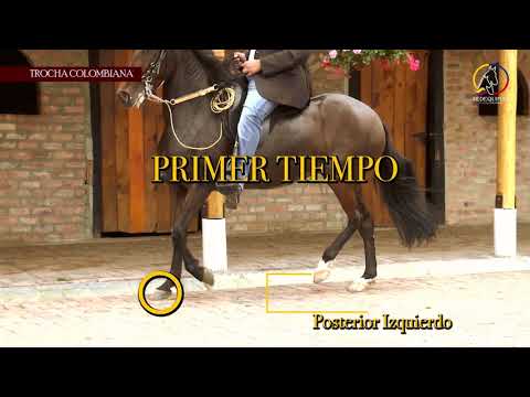 TROCHA COLOMBIANA DESCRIPCION DEL ANDAR