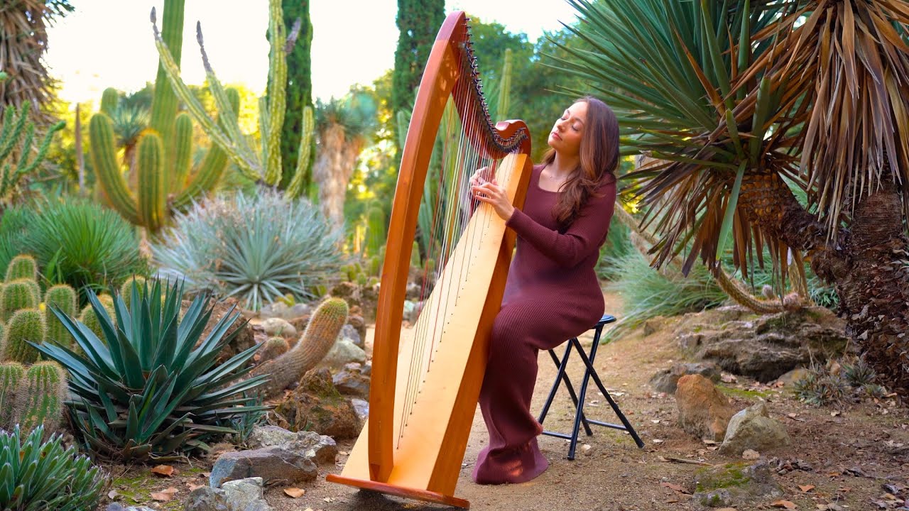 Morning Melodies: 1 Hour of Heavenly Harp Music