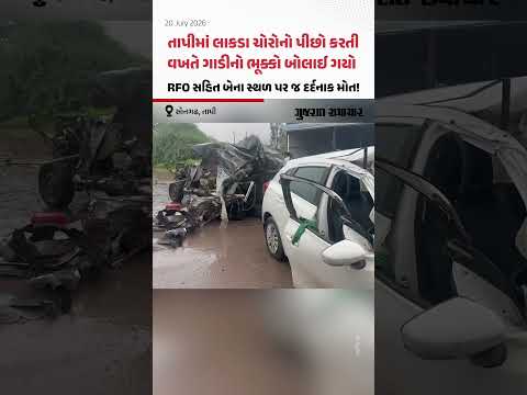Tapiમાં લાકડા ચોરોનો પીછો કરતી વખતે ગાડીનો ભૂક્કો બોલાઈ ગયો, RFO સહિત બેના સ્થળ પર જ દર્દનાક મોત! Tapiમાં લાકડા ચોરોનો પીછો કરતી વખતે ગાડીનો ભૂક્કો બોલાઈ ગયો, RFO સહિત બેના સ્થળ પર જ દર્દનાક મોત!