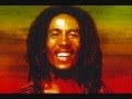 Bob Marley - Positive Vibration