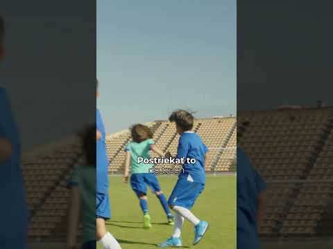 Závazek společnosti Activstar k efektivní ochraně proti škůdcům