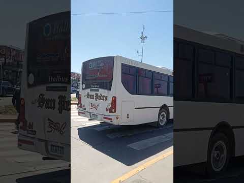 Empresa San Pedro de Colalao coche 61, Tucumán