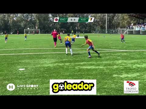 Enotria - Audace Legnaia