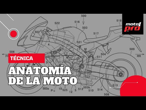 Video de YouTube