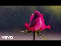 Lugo - Kiss the rain