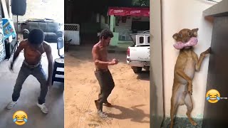 Os Vídeos + Engraçados da Internet - Tente Não Rir #1 Os Memes Mais Engraçados do Whatsapp Memes Br