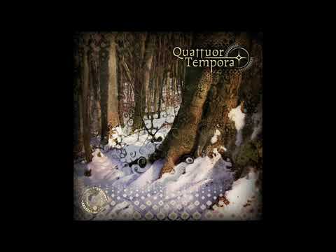 VA Quattuor Tempora - CD1 - 07 - Sativa - Cold Things