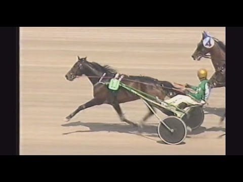 TV-sändningen från Elitloppet på Solvalla 2006.