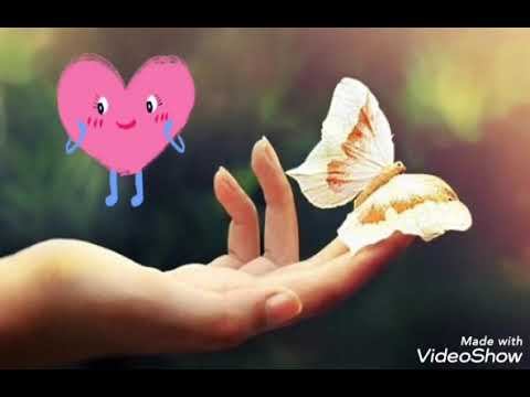 Makhri Agasaparova Yalnyzlyk «Words Hicran»