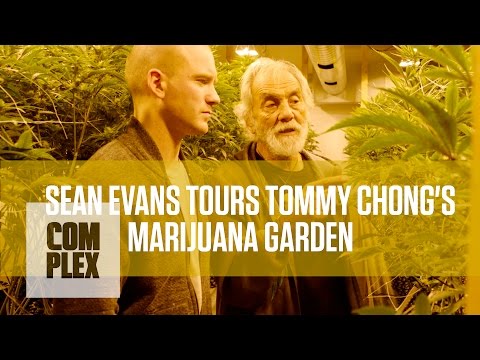 Thumbnail for Tommy Chong's Medical Marijuana Garden | Complex by Tommy Chong