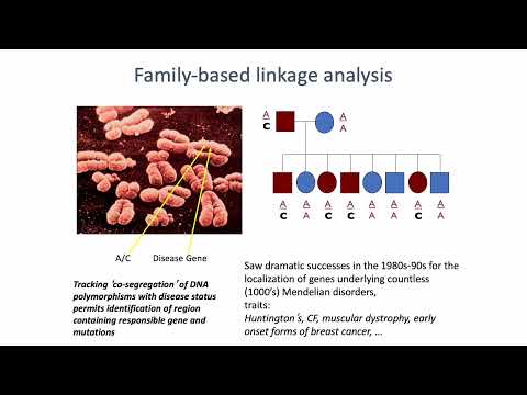 (2022) MCB 182 Lecture 9 - Human genetics