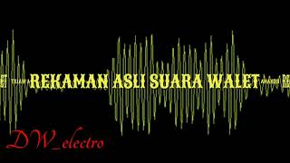 Download lagu Rekaman Asli Suara Walet mp3 Download lagu Rekaman Asli Suara Walet mp3