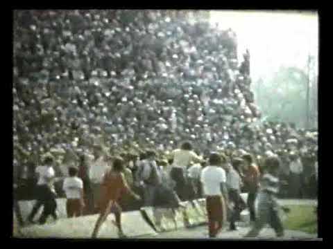 amarcord Cesena-Milan 1981-82-2° tempo esultanza gol Piraccini,tifosi su alberi,Schachner,Piotti-1/2