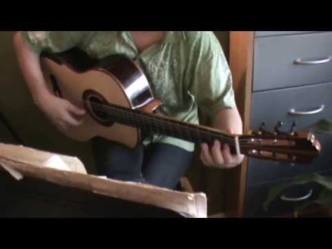 Bruce G Rubin classical guitar demonstration