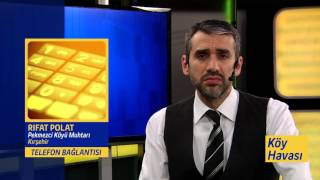 Pekmezci Köyü Muhtarı Rıfat Polat, Yaban TV.