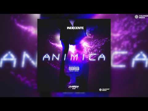 Indecente - Amor Amante