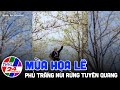 Tour Na Hang 2N1Đ: Hà Nội - Vịnh Hạ Long Giữa Núi Rừng -  Hoa Lê Trắng