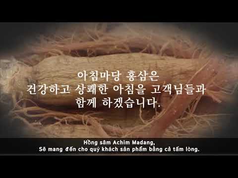 Quy trình sản xuất Hồng Sâm Hàn Quốc 6 năm tuổi 