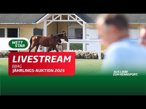 Livestream 05.09. BBAG Jährlings-Auktion 2025