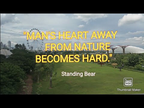 #naturequotes #enchantingnaturequotes #inspirationalnaturequotes ENCHANTING NATURE QUOTES -2020