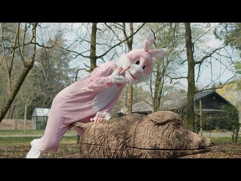 Jorda x Spens - Shotgun