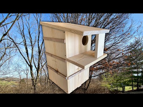 A Squirrel Nesting Box