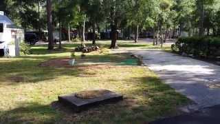 Large RV Lot for Rent or For Sale in Florida