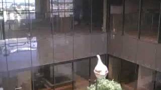 7171 Harwin Clip 07