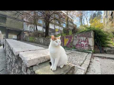 Renovated and Furnished One-Bedroom Apartment For Rent | 55sqm | Center Sarajevo