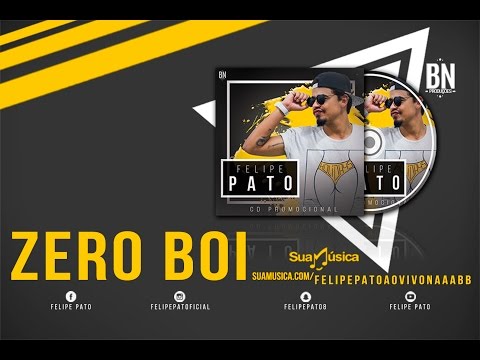 FELIPE PATO AO VIVO - ZERO BOI (COVER)