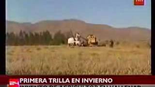 preview picture of video 'VALLENAR - III REGION CHILE (primera trilla invernal)'