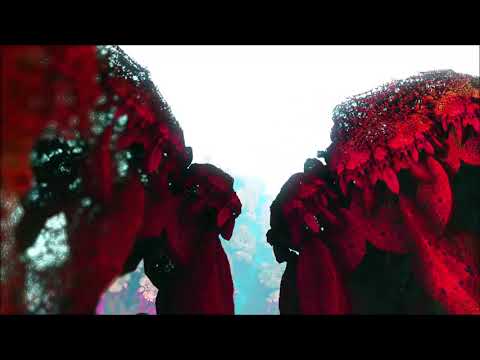 Burn in Noise vs Desert Dwellers - The Sentient Fungi [Fractal Music Video] | Chill Space