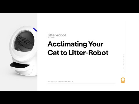 8 Tips to Acclimate Your Cat to Litter-Robot