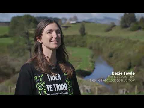 Taiea te Taiao Maungatautari to Pirongia Ecological Corridor Spotlight