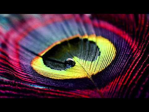 12. Djurdjevdanske igre ➜ 16.maj ➜ Prešernovo gledališče Kranj