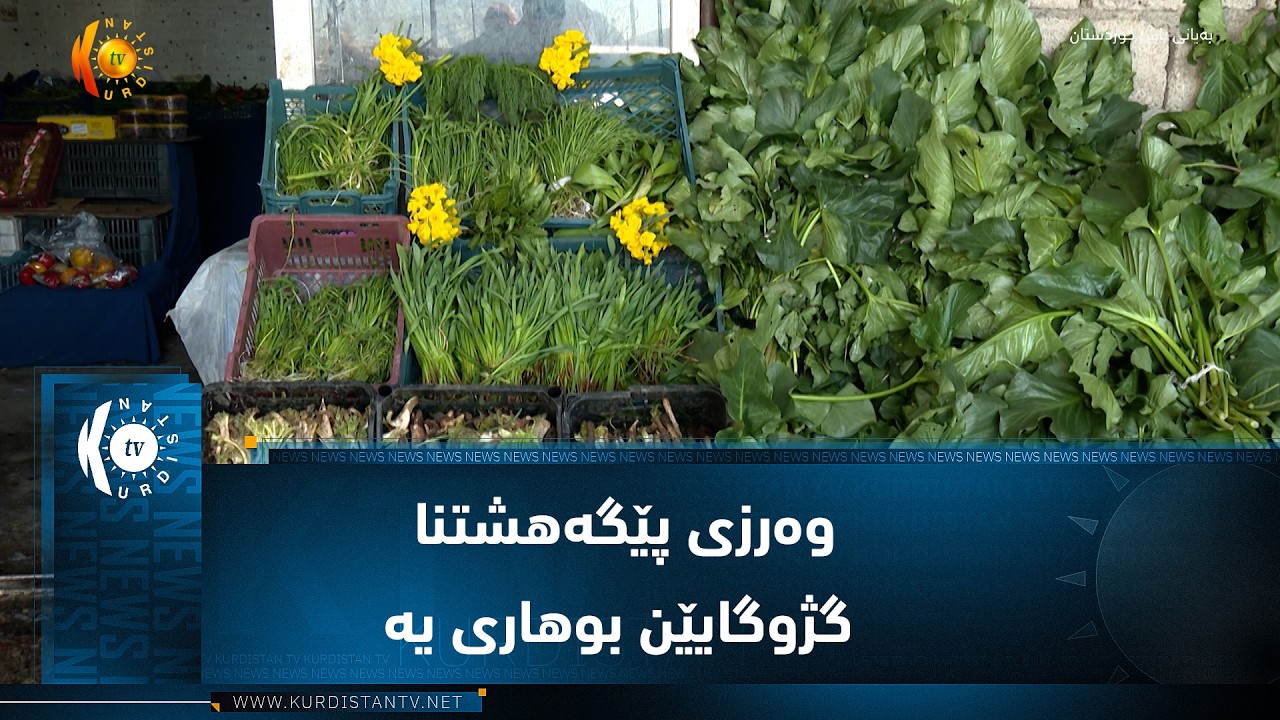 ڤیدیۆ | ئاکرێ ..  وەرزی پێگەهشتنا گژوگایێن بوهاری یە
