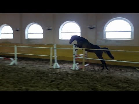 Равелла, напрыгивание