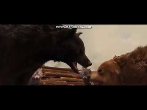 Twilight Wolves-Outside