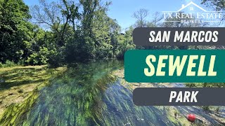 Discover the Serene Beauty of Sewell Park in San Marcos! 🌳🏞️