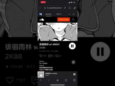 徘徊雨林 w/ ANGO