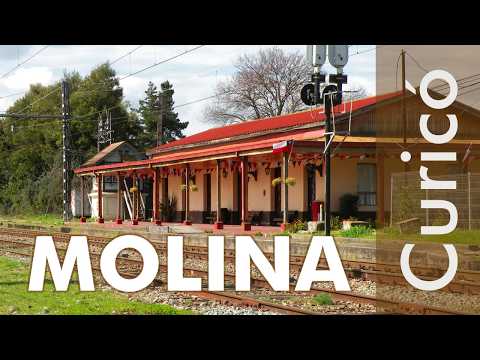 Molina, Curicó, Región del Maule, Chile. Enlaces en la descripción