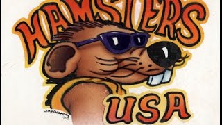 preview picture of video 'Sturgis 2014 Motorcycle Rally - Hamsters USA Annual Town Ride'