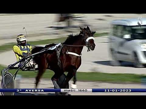 Aversa trotto 11 Gennaio 2023 - 3° corsa