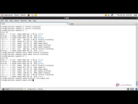 How to Install and Configure DNS Server in CentOS | LinuxHelp Tutorials