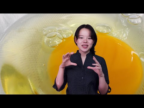 Whole Egg, Egg White and Egg Yolk, What They Do To Bread | The Science Behind Eggs in Bread